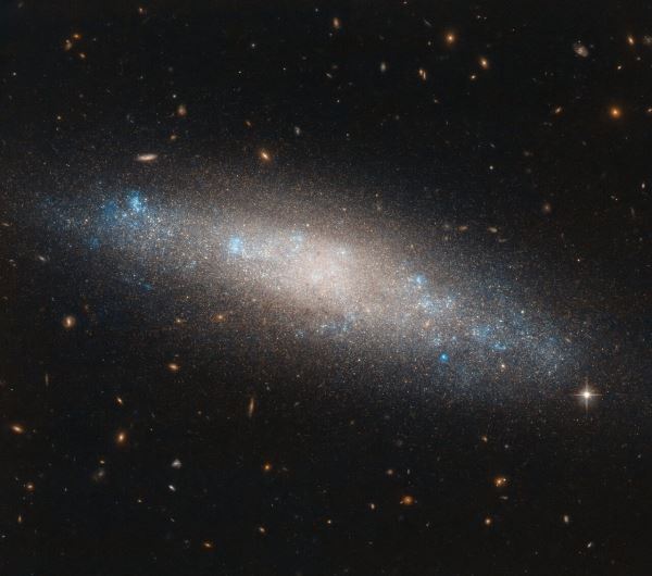 Галактика NGC 4455