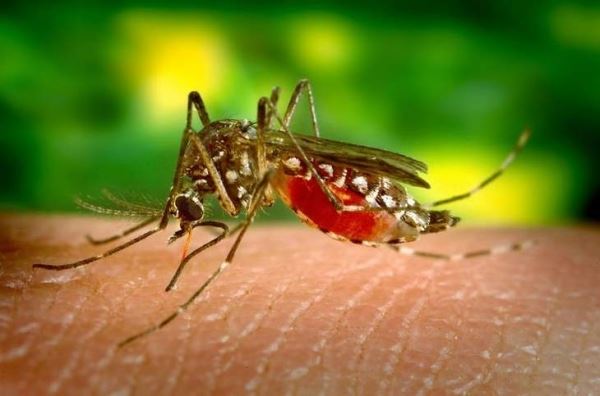 В Уганде живет человек, который пукает такими ядовитыми газами, что убивает всех комаров вокруг себя